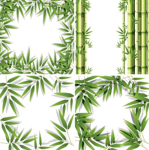 Set of bamboo frames vector