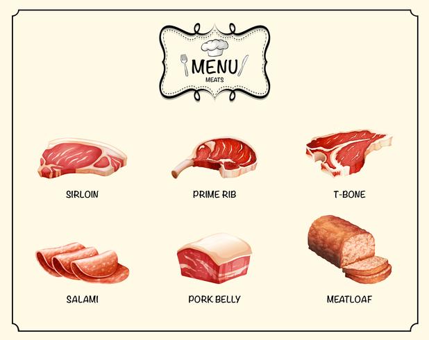 Different kind of meat products vector