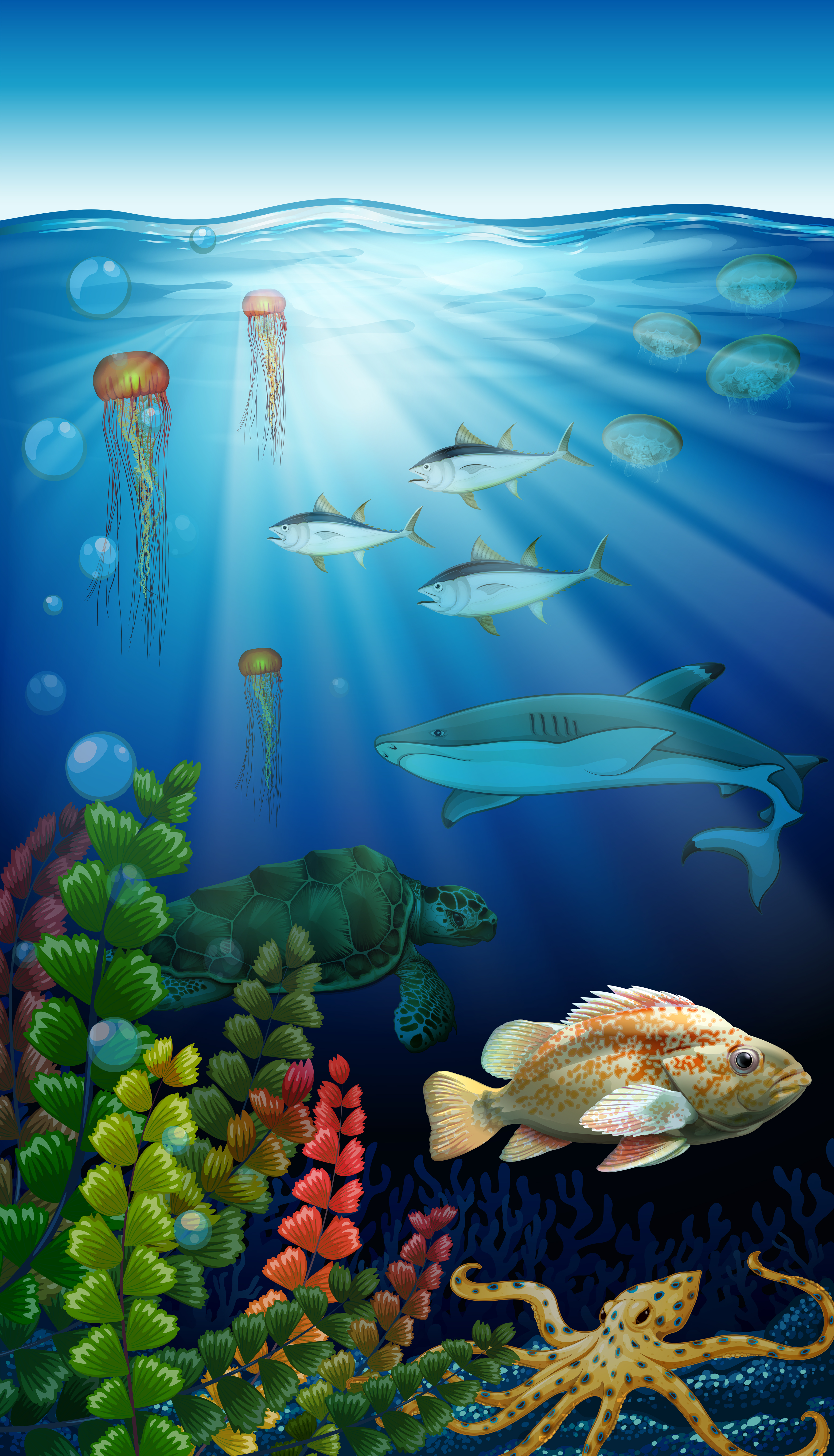 Sea animals living under the ocean 591610 Vector Art at Vecteezy