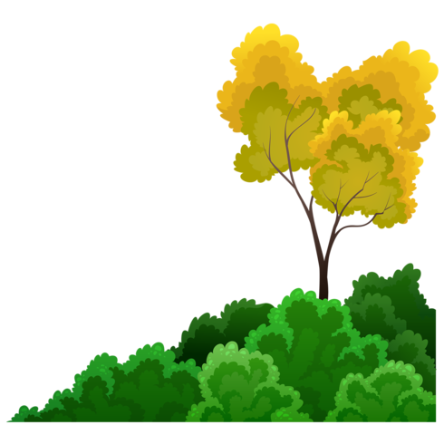 shrubs and tree vector