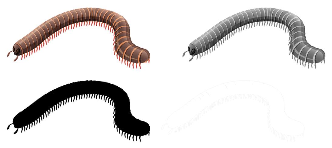 Set of millipede character vector