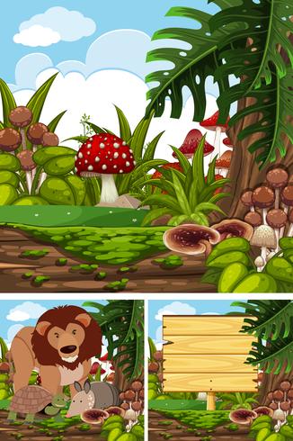 Three scenes with wild animals in forest vector