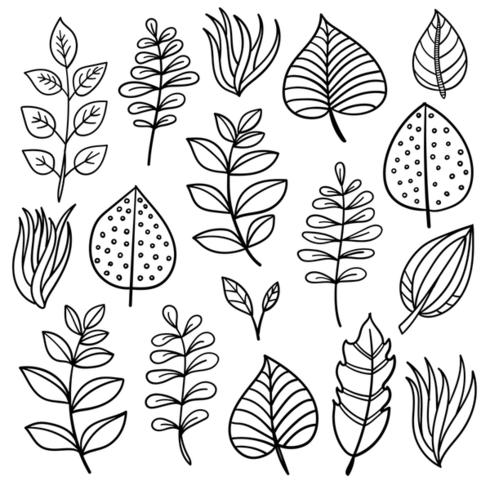 Botanical hand drawn elements vector