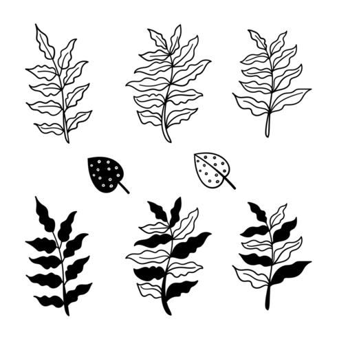 Botanical hand drawn elements vector