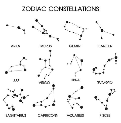 The 12 Zodiacal Constellations. vector