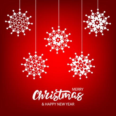 Christmas card with hand drawn lettering  vector