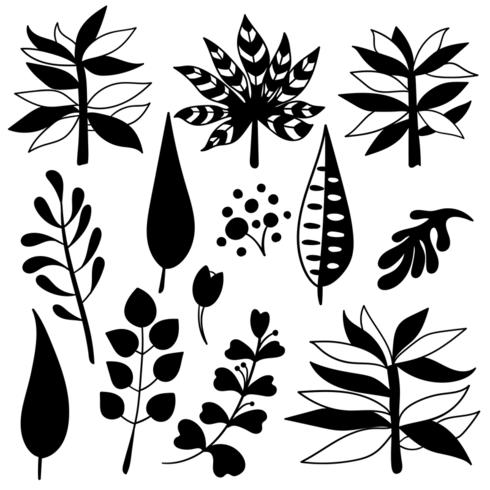 Botanical hand drawn elements vector