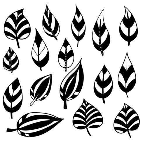 Botanical hand drawn elements vector