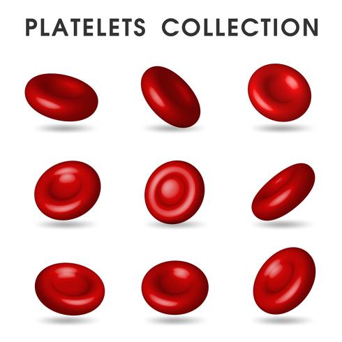 Gráficos de plaquetas realistas que circulan en los vasos sanguíneos del cuerpo humano. vector