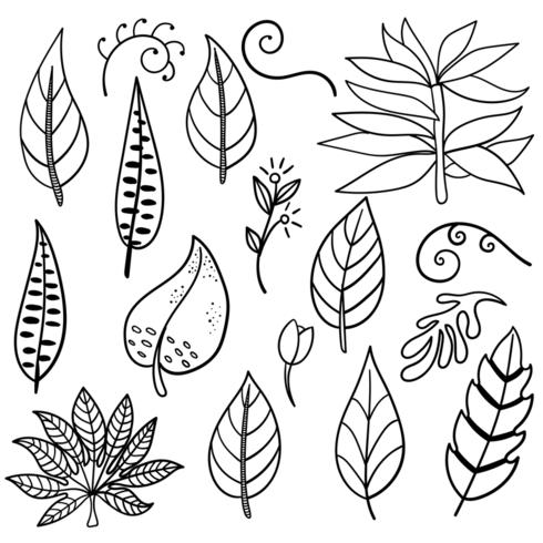 Botanical hand drawn elements vector