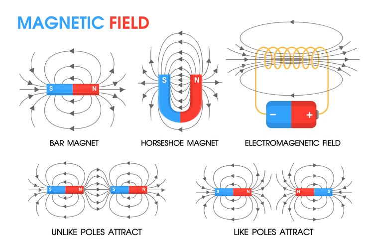 Physics science about the movement of magnetic fields Positive and negative. vector