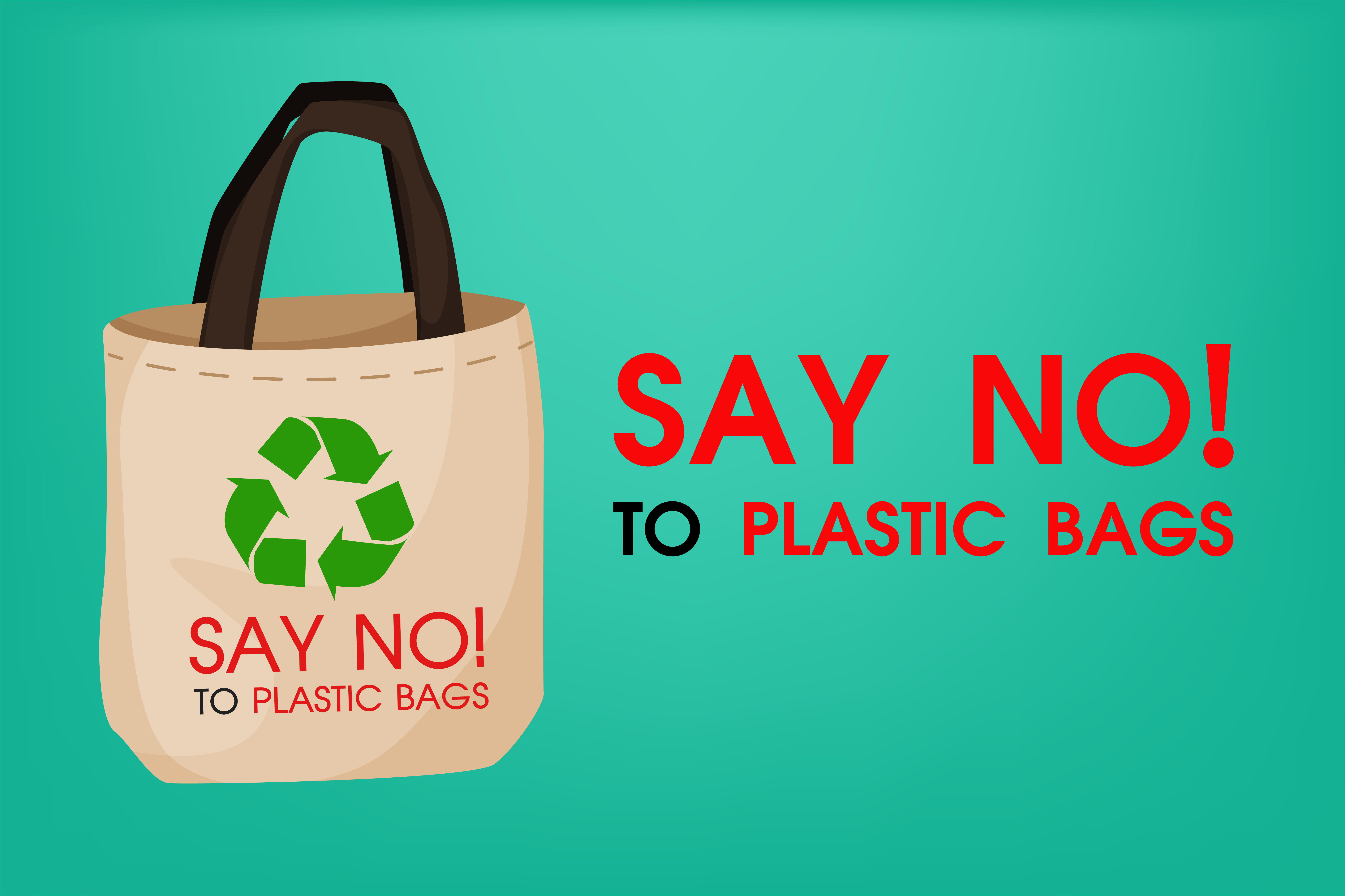 Why Should I Stop Using Plastic Bags?