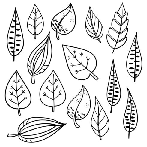 Botanical hand drawn elements vector