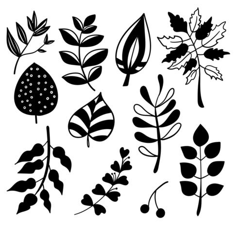 Botanical hand drawn elements vector