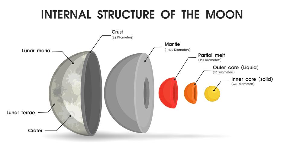 La estructura interna de la luna que se divide en capas. vector