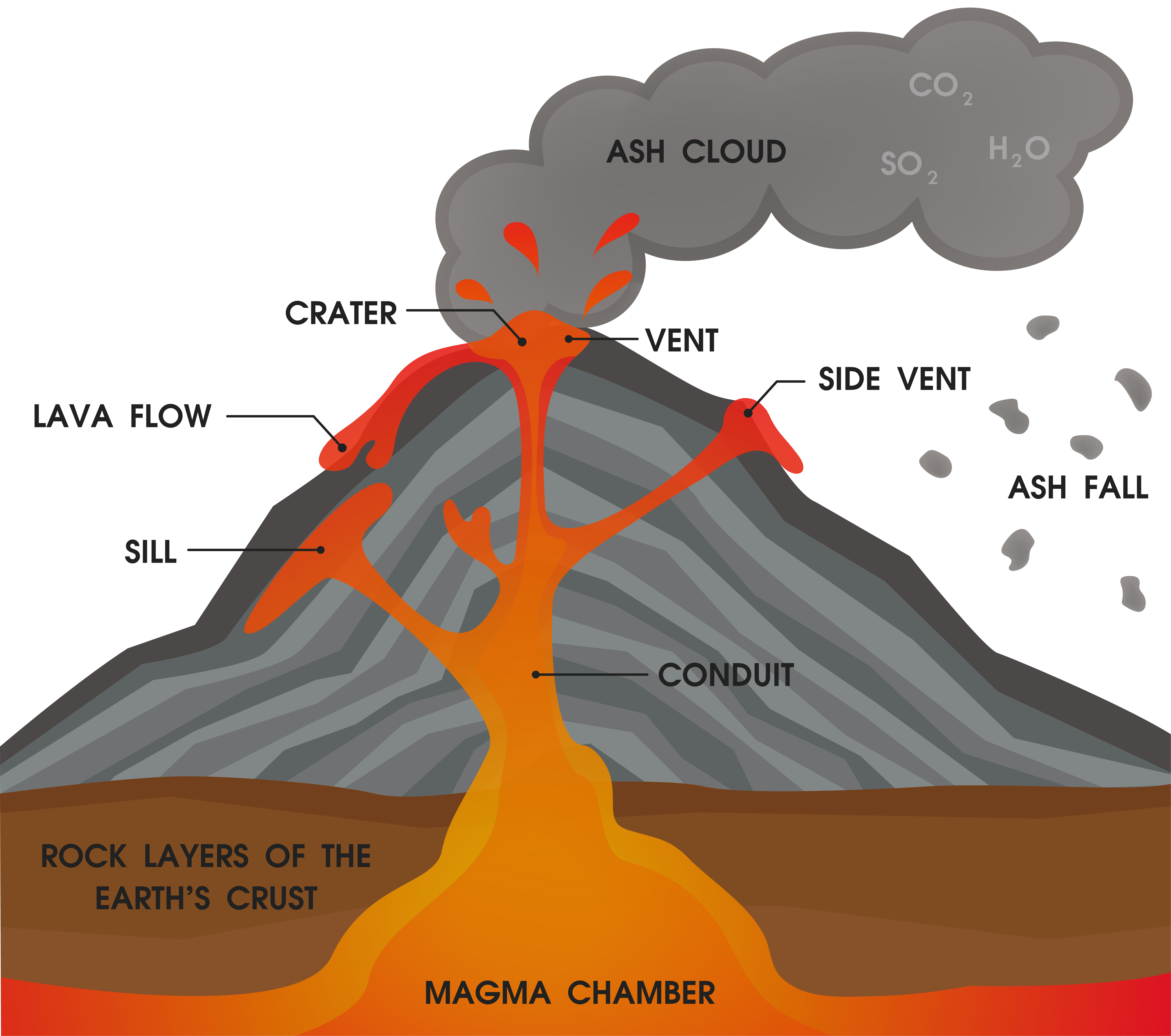 Volcano Anatomy Diagram  Vector Illustration