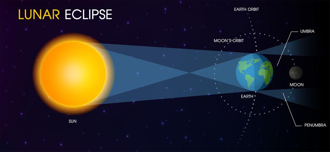 Lunar Eclipse of the Moon. vector