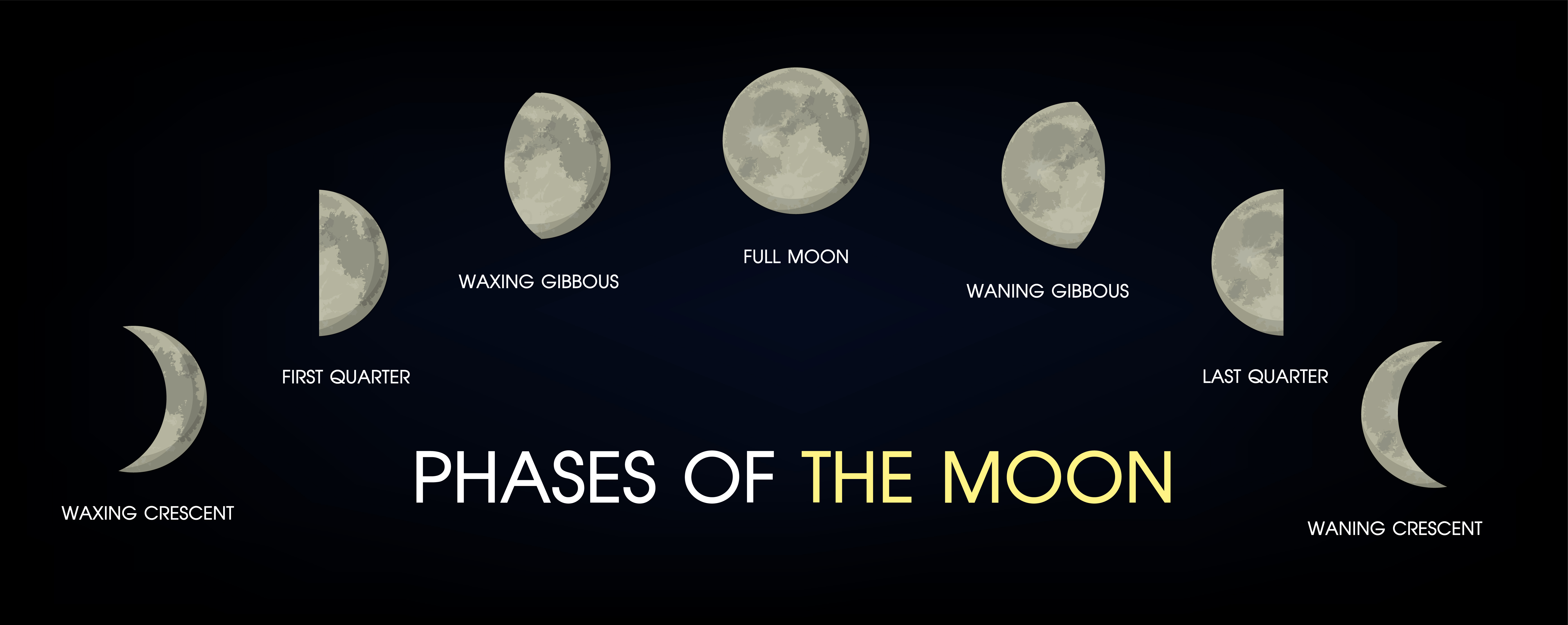 The Phases Of The Moon 594262 Vector Art At Vecteezy