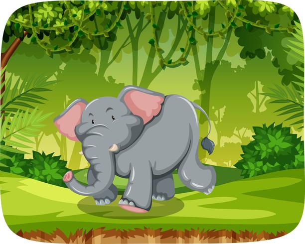 Elefante en escena de maderas vector