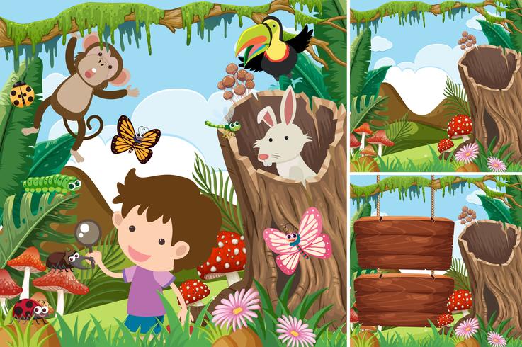 Tres escenas de bosque con niño y animales. vector