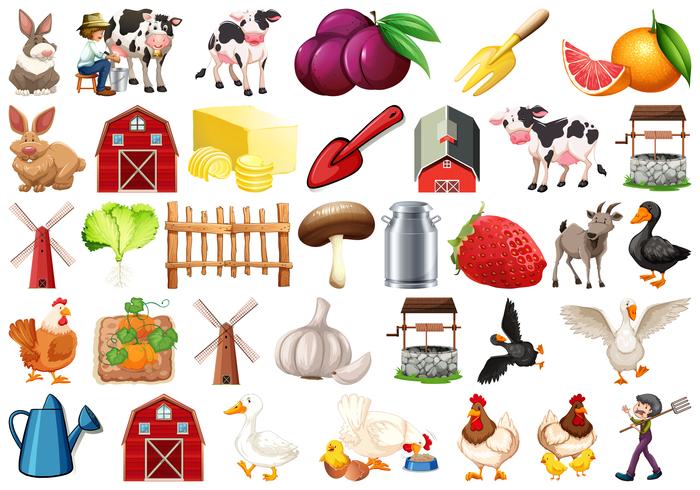 Set of farm elemant vector