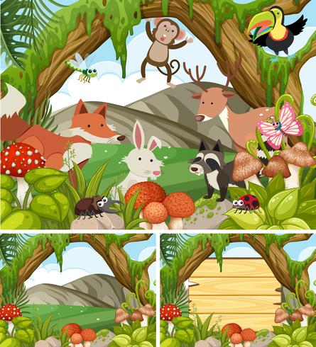 Tres escenas de bosque con animales y plantas. vector