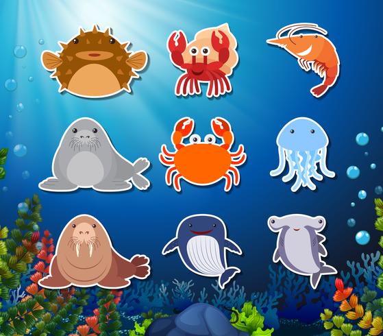 Set of underwater creature character vector