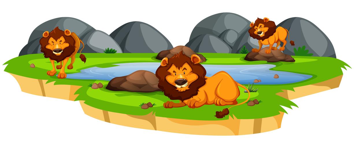 Lion in nature landscape vector