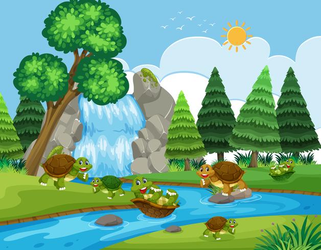 Turtle playing in river vector