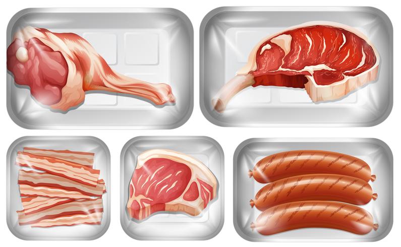 Set of meat warpping in the tray vector