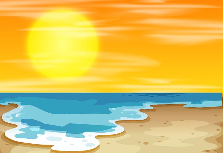 Sunset at the beach vector