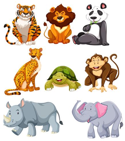 Set of cute animals  vector