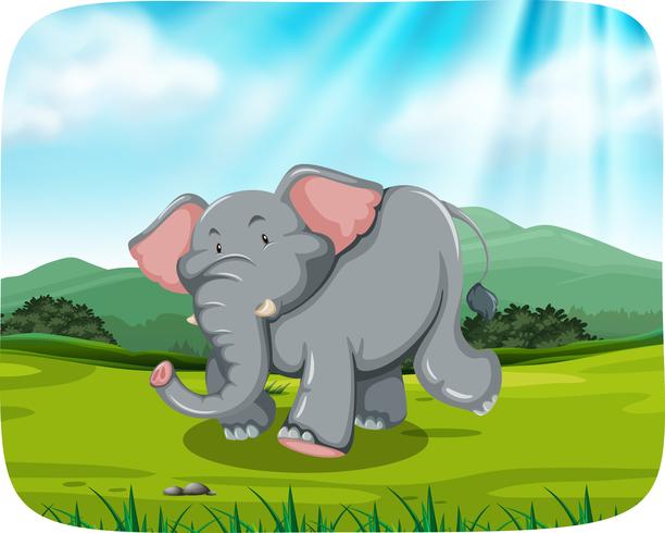 elefante en escena de la naturaleza vector