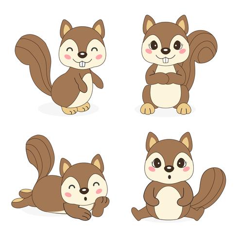 cute squirrel in different pose. Vector illustration.