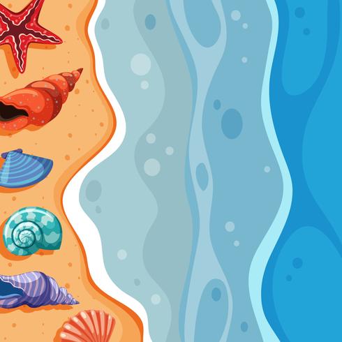 Background scene with seashells on beach vector