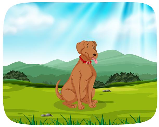 Dog in park scene vector