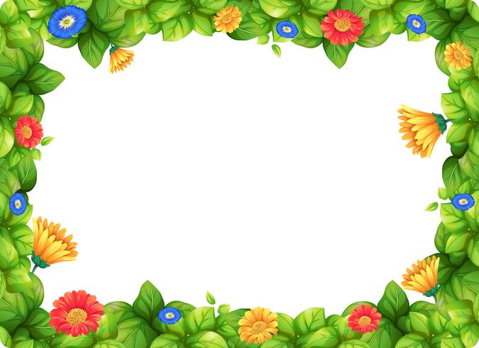 Beautiful gerbera flower frame vector