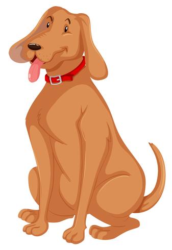 A dog on white background vector