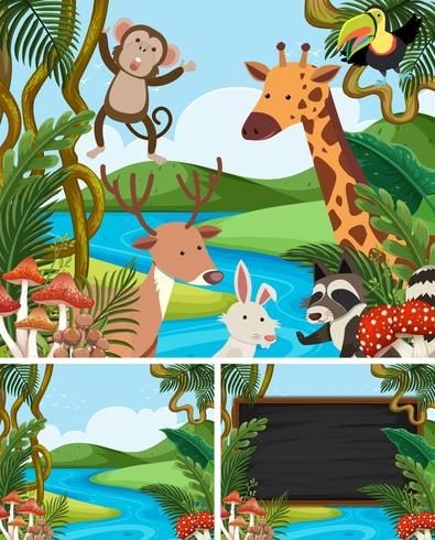 Plantilla de fondo con animales en montaña vector