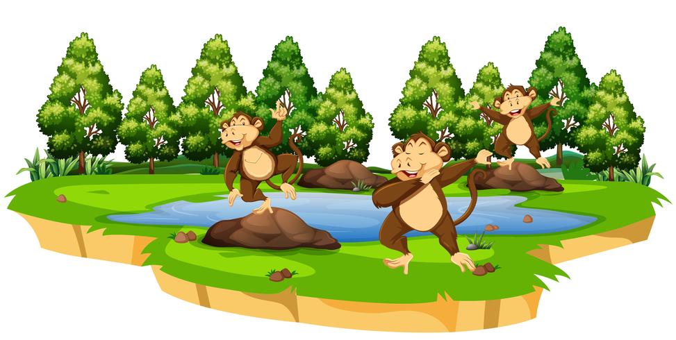 Monkey in nature scene vector