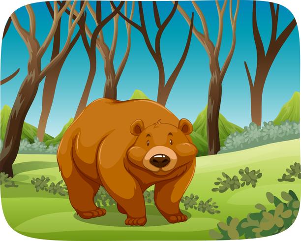 brown bear in nature scene vector