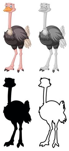 Set of ostrich character vector