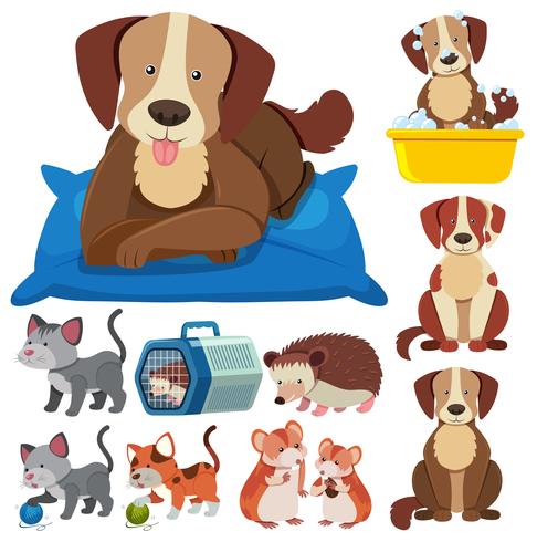 Cute Pets on White Backgroud vector