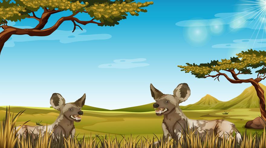 Animal in african scene vector
