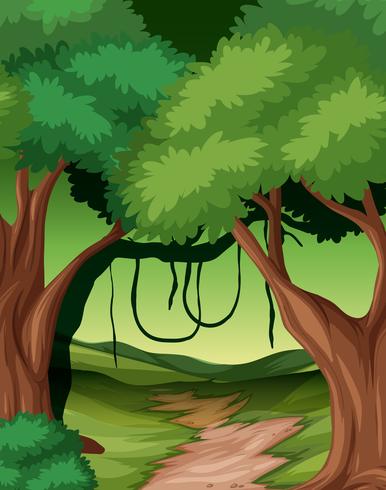 Woods nature background scene vector