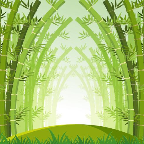 Escena de fondo con el bosque de bambú verde vector