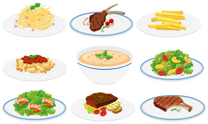 Conjunto de platos saludables. vector