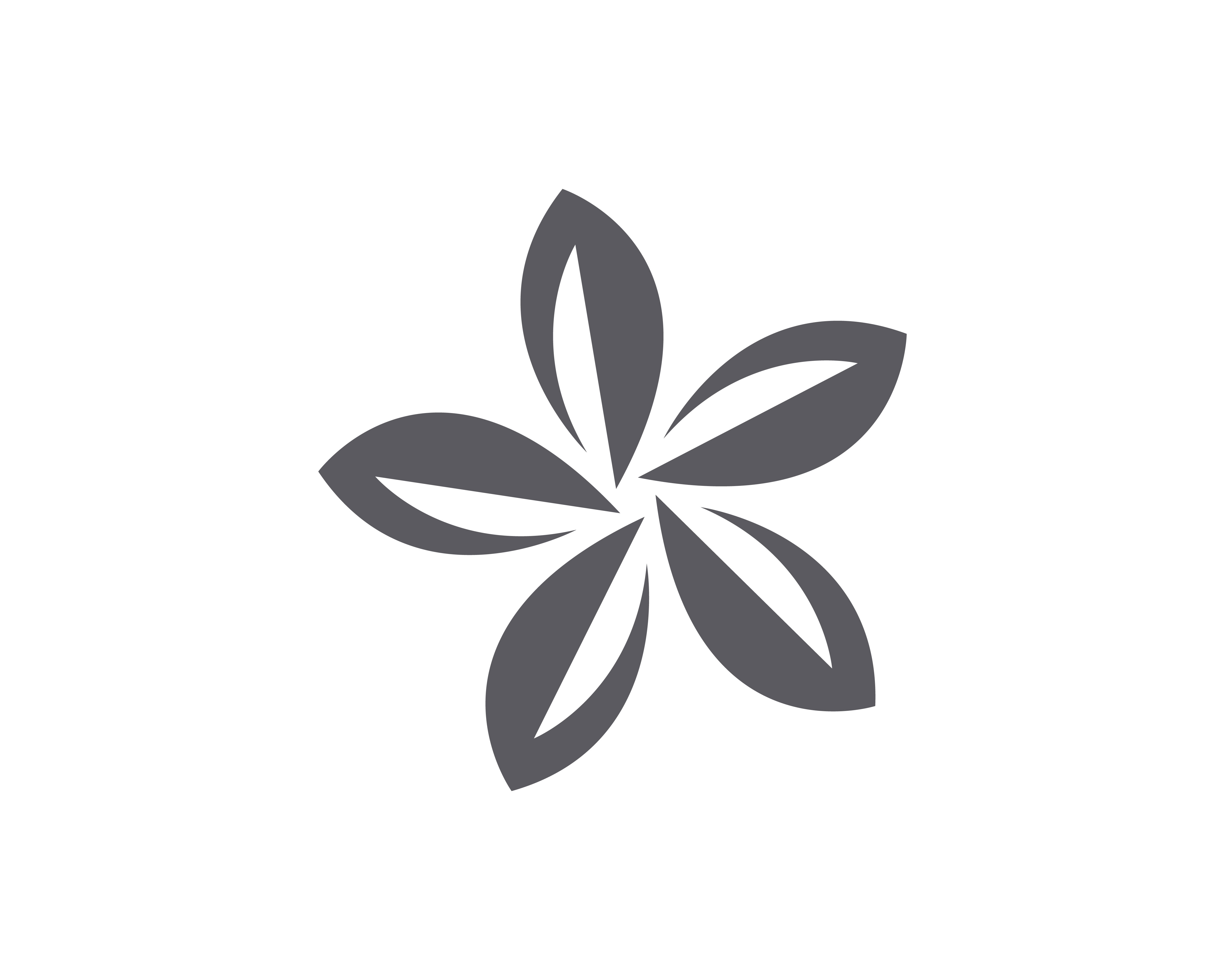jasmine flower icon vector illustration design logo template 595265