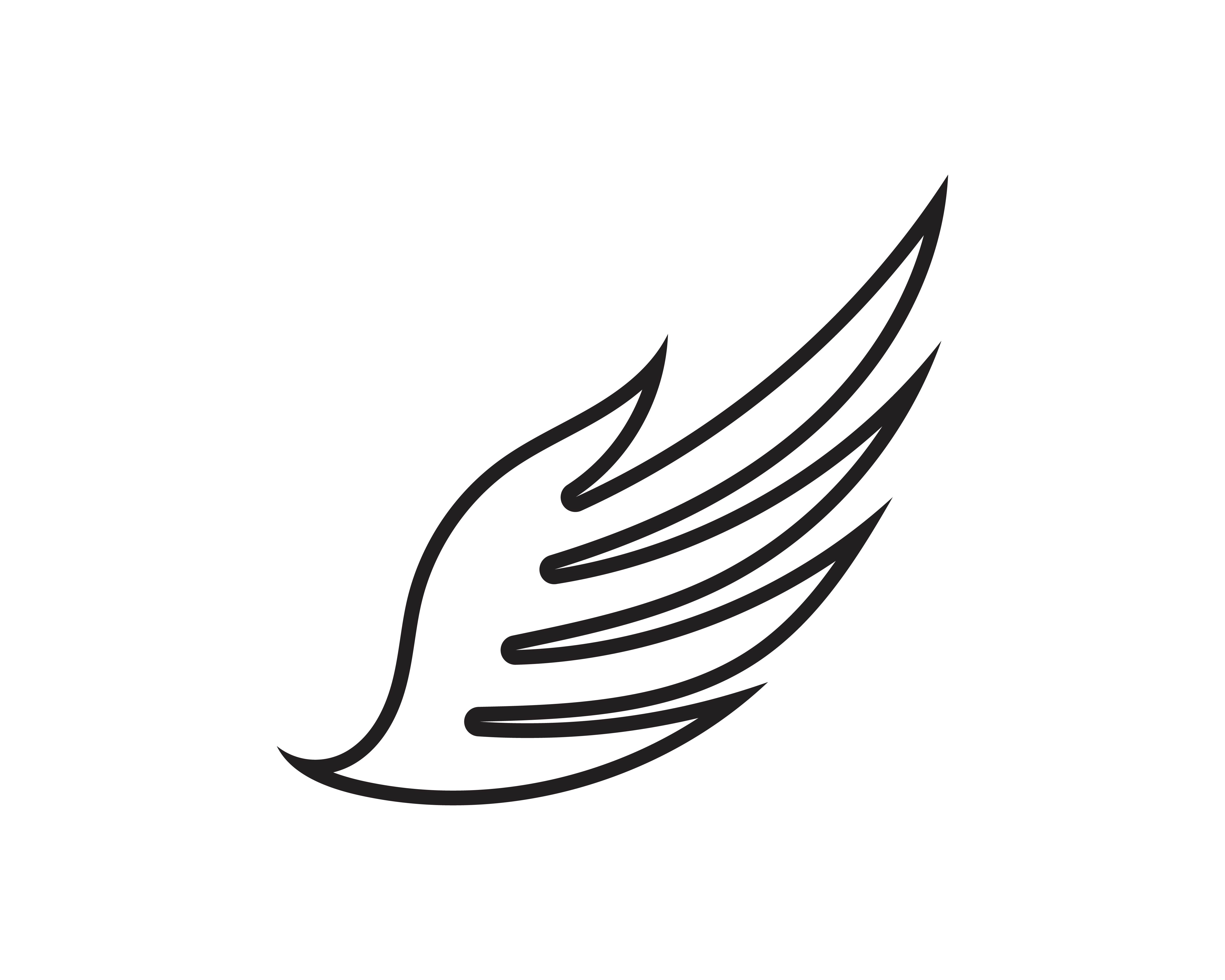 Wing black Logo Template vector illustration design vector 595941