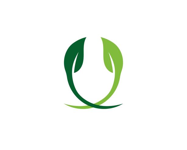 Ecology leaves logo illustration